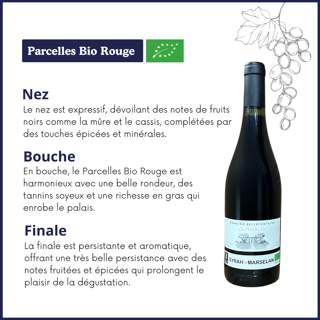 Parcelles Bio - Syrah-Marselan - Vin rouge