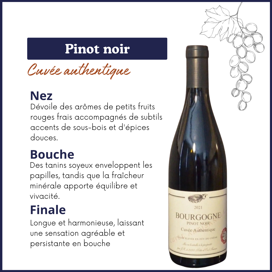 Pinot Noir - Bourgogne - AOC - Cuvée Authentique - Vin rouge