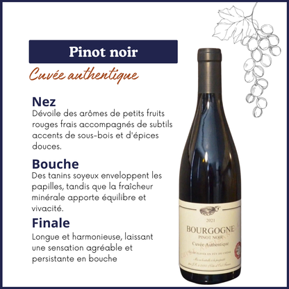 Pinot Noir - Bourgogne - AOC - Cuvée Authentique - Vin rouge