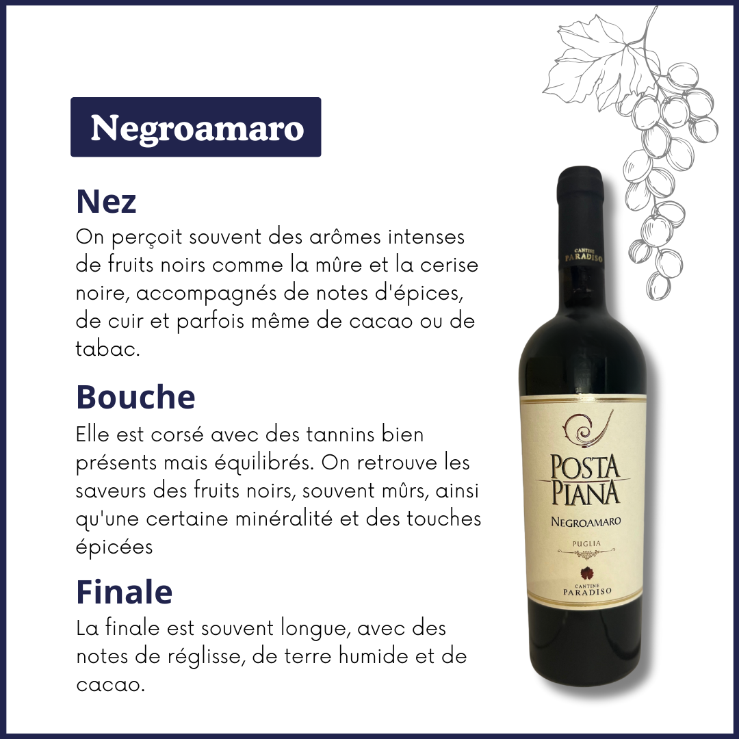 Negroamaro - Posta Piana - 2022 - Vin Rouge