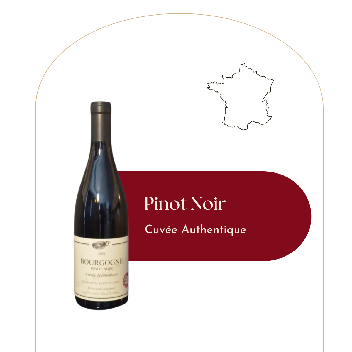 Pinot Noir - Bourgogne - AOC - Cuvée Authentique - Vin rouge