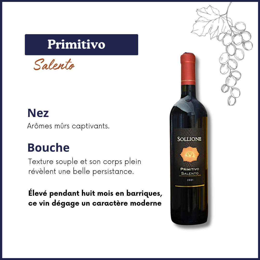 Primitivo - Salento Sollione - Vin rouge