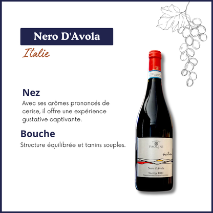 Nero D'Avola - Paolini - Vin Rouge